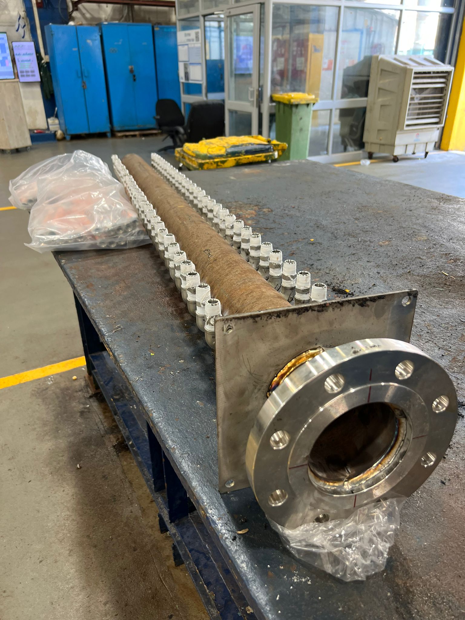 WhatsApp Image 2025-08-18 at 15.56.08