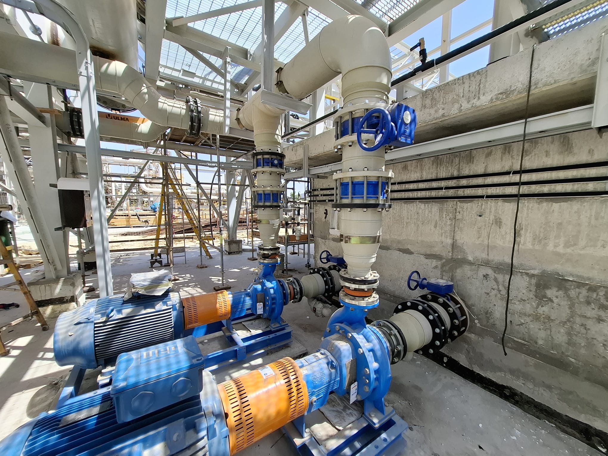 WhatsApp Image 2025-08-19 at 11.22.49